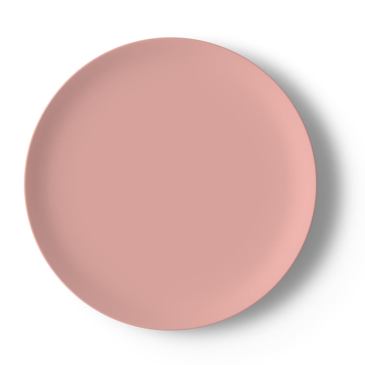 Blush Pink Botanical China Plate Set